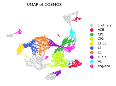 _images/Tutorial_ATAC_RNA_Seq_MouseBrain_13_0.png