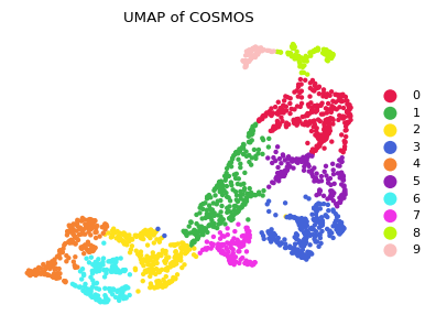 _images/Tutorial_DBit_Seq_MouseEmbryo_14_0.png
