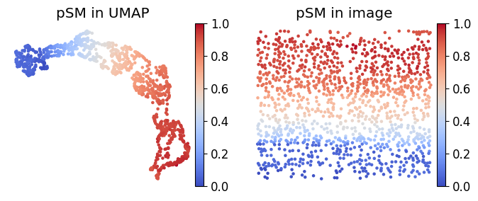 _images/Tutorial_Simulation_MouseVisualCortex_16_0.png